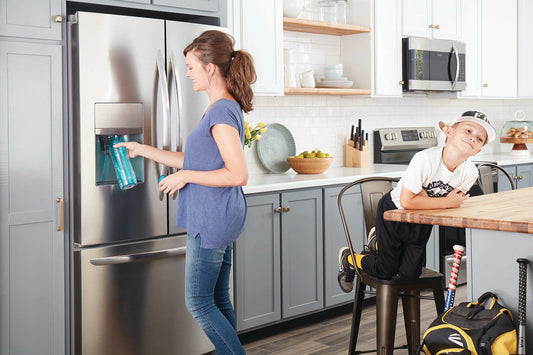 How to Replace Sub Zero 4204490 Water Filter DIY Guide